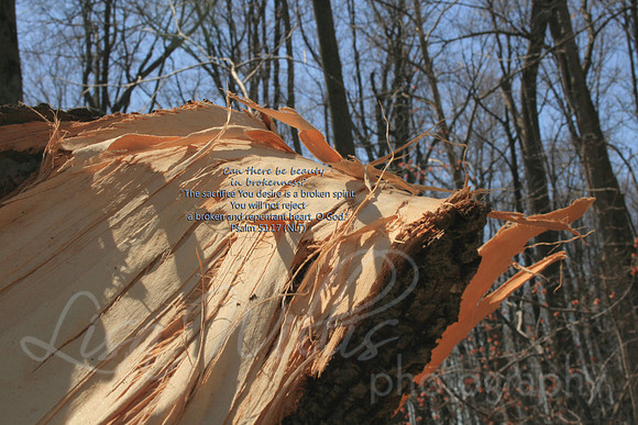 Beauty in Brokenness