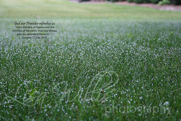 The Dew of Heaven