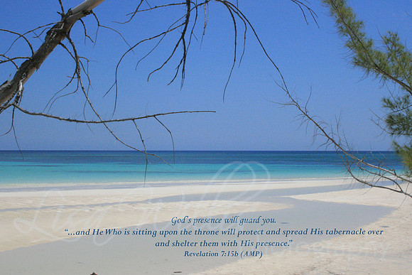 Sheltered In His Presence