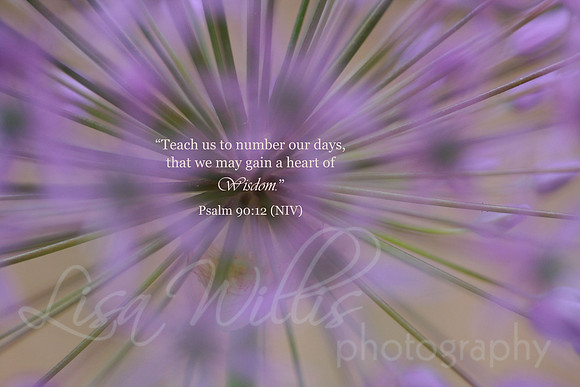 A Heart of Wisdom