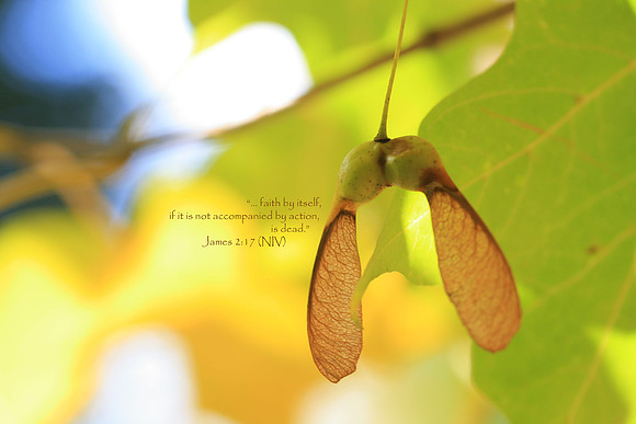 Faith and Action