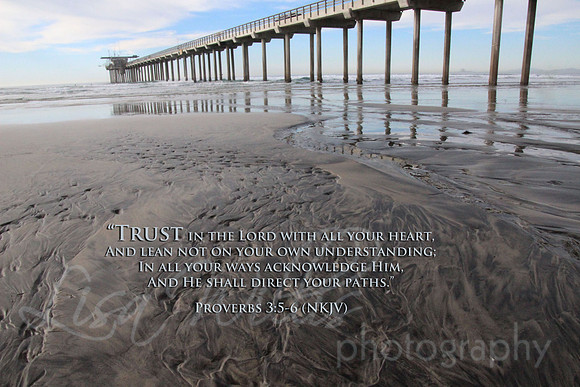 Trust
