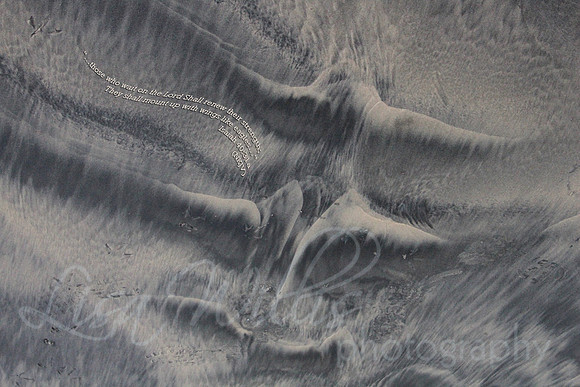 Eagles Wings