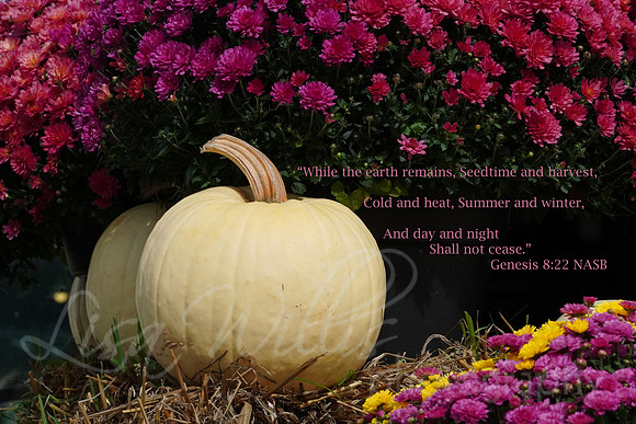 September