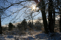 December
