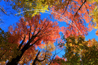 October