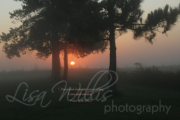 Dawn and Dusk