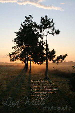 God’s Tender Mercy
