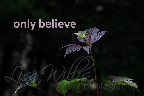only believe