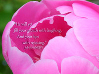 Rejoicing Lips