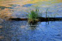 Never Leave You Or Forsake You