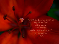 Spirit of Power and Love