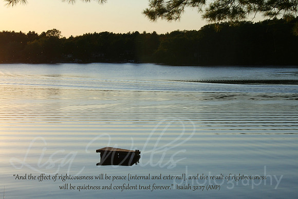 Quietness and Confident Trust