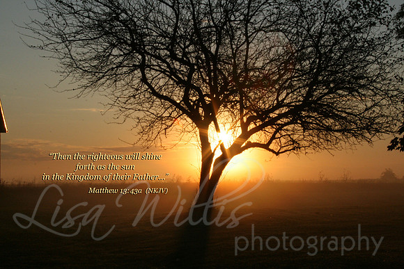 The Righteous Will Shine