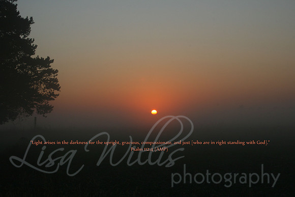 Light Arises