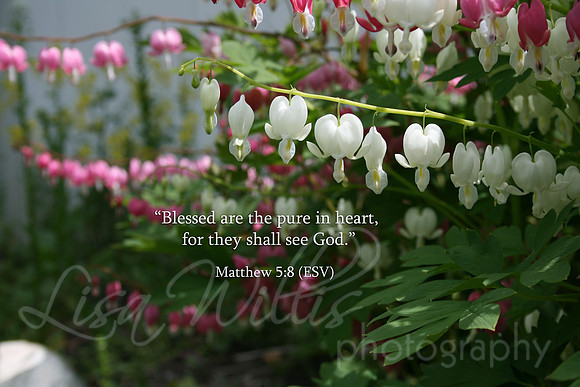 Pure in Heart