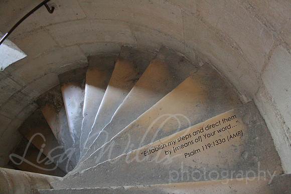 Establish My Steps