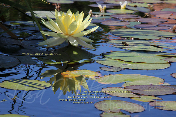 What We Behold, We Become…