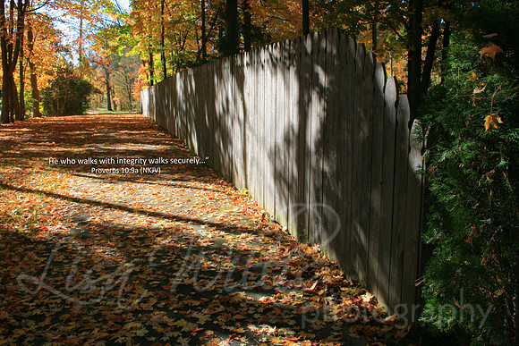 Walk with Integrity
