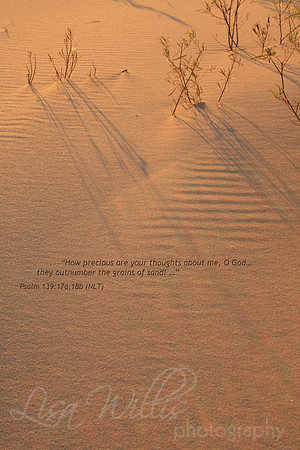 Grains of Sand