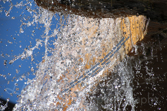 Water In The Wilderness