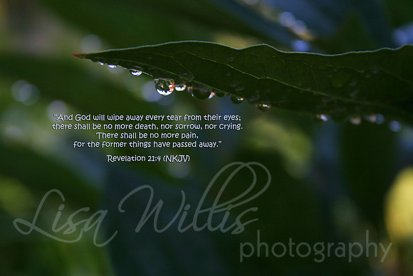 God Will Wipe Away Every Tear