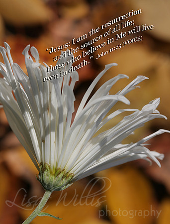 Sympathy card
