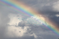My Bow in the Sky