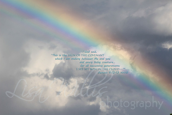My Bow in the Sky