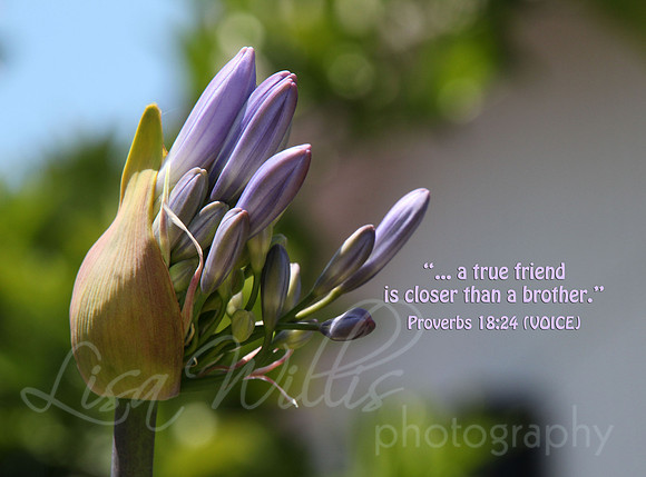 Closer Than A Brother