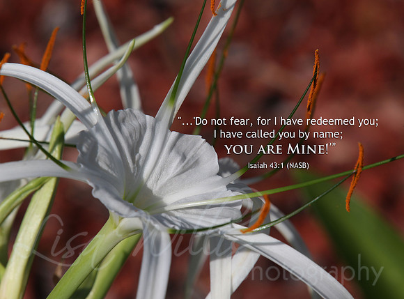 You Are Mine!