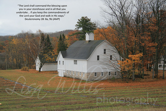 Blessings on Your Storehouse