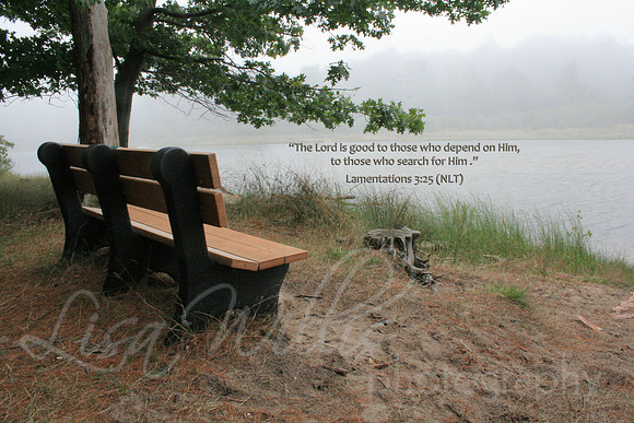 Search for Him