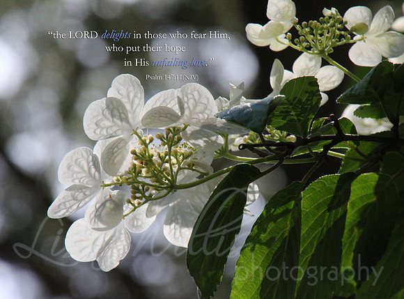 His Unfailing Love