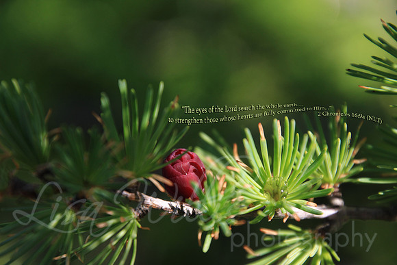 A Fully Committed Heart