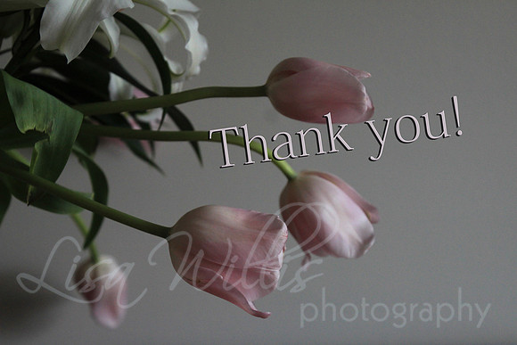 Thank You!