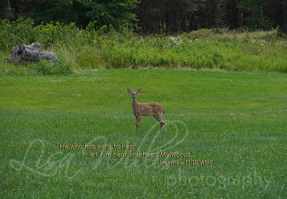 Ears To Hear