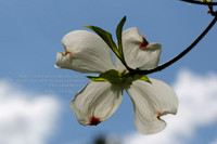 God’s Love