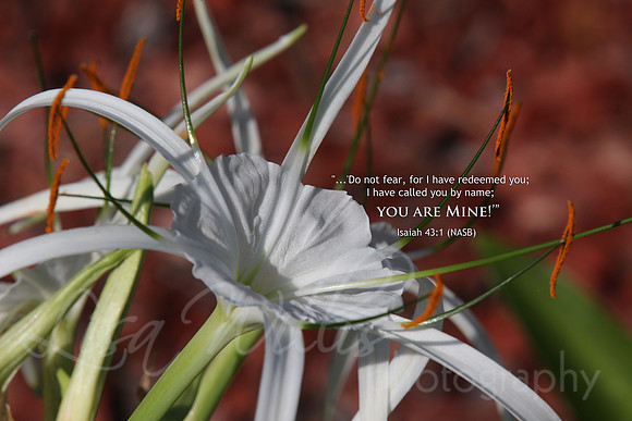 You Are Mine!