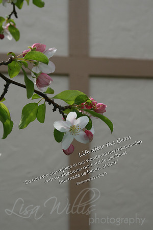 Life After The Cross