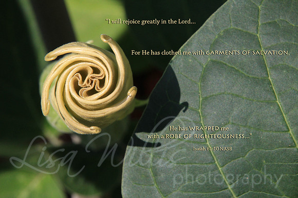 Wrapped In Righteousness