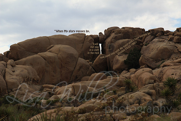 Cleft in the Rock