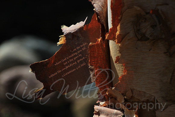 Unfolding Grace
