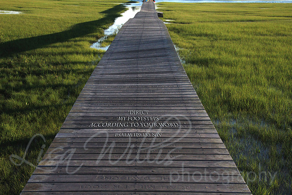 Direct My Footsteps