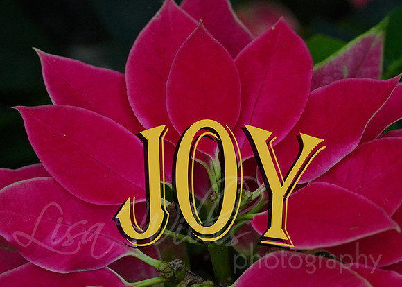 JOY