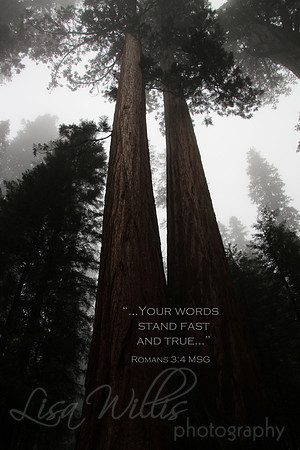 Stand Fast and True
