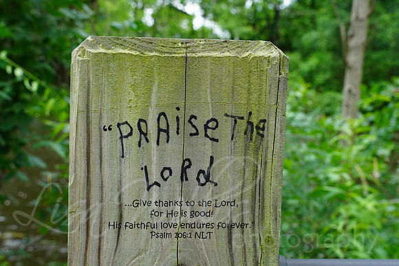 Praise the Lord