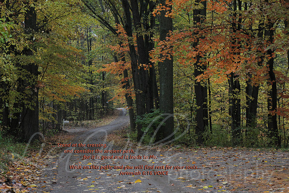 The Ancient Path