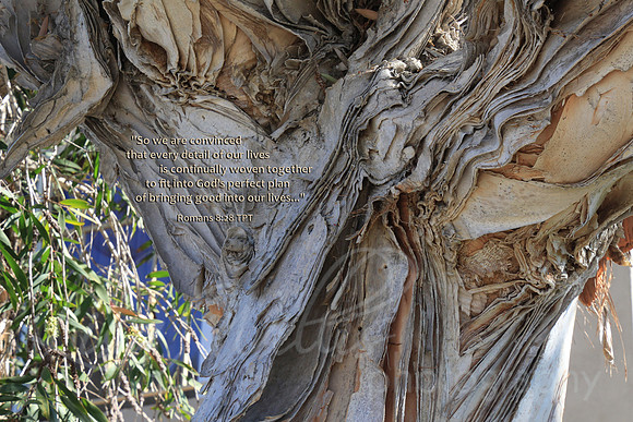 Woven Together