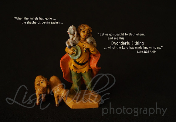 Bethlehem Shepherds